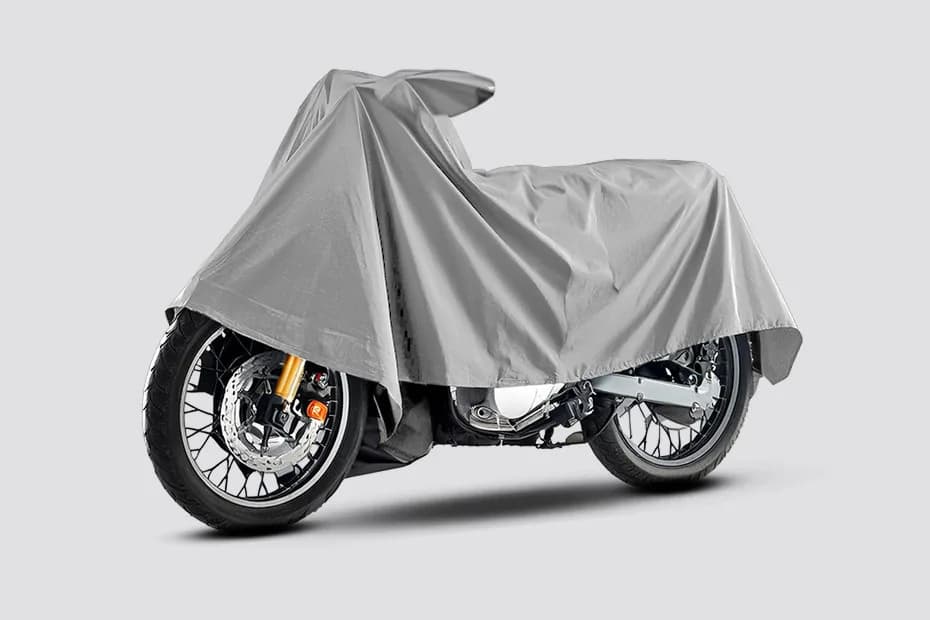 2025 Kawasaki W230