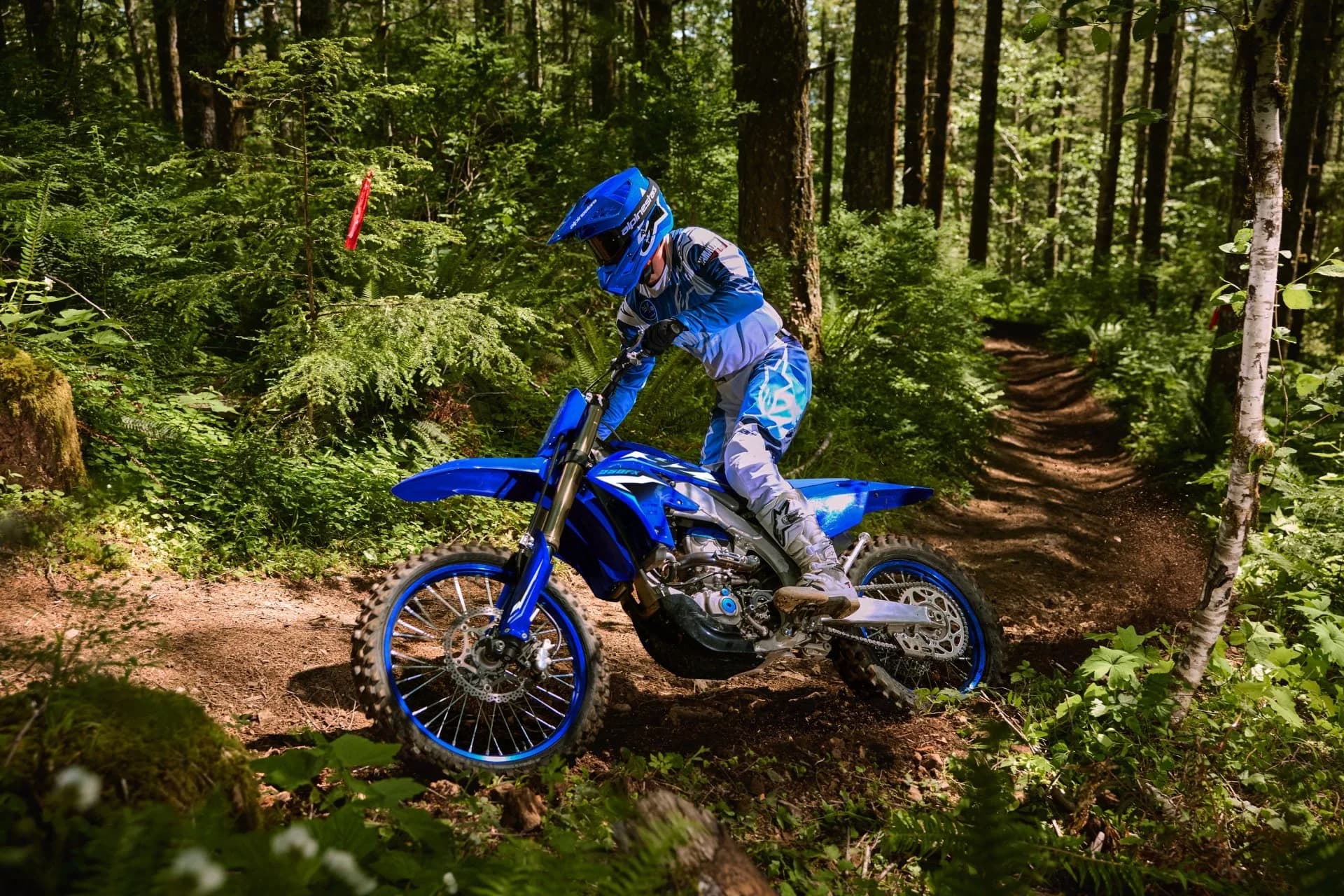 2025 Yamaha YZ250FX