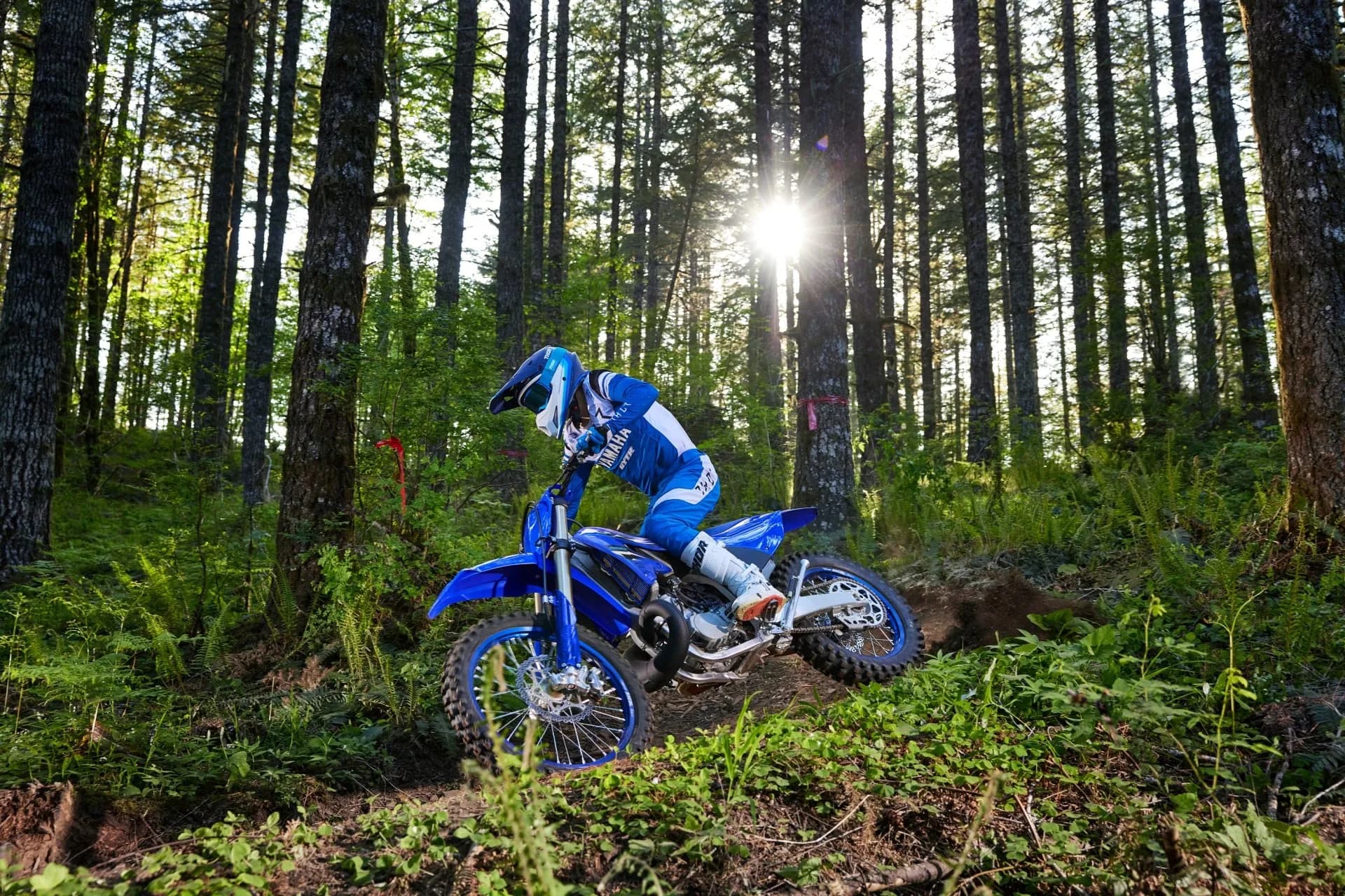 2025 Yamaha YZ250X