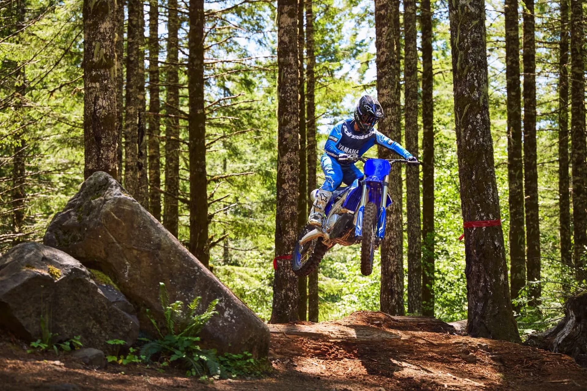 2025 Yamaha YZ450FX